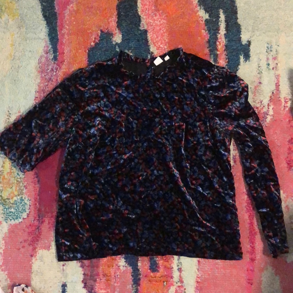 Long Sleeve Velvet Feel Top with Red/Blue Flowers